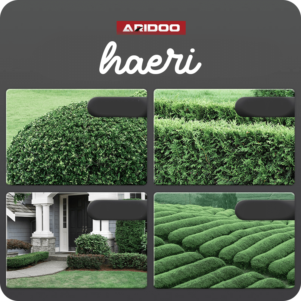 ARIDOO haeri landscaping images showing various well-trimmed hedges and bushes for professional gardening.