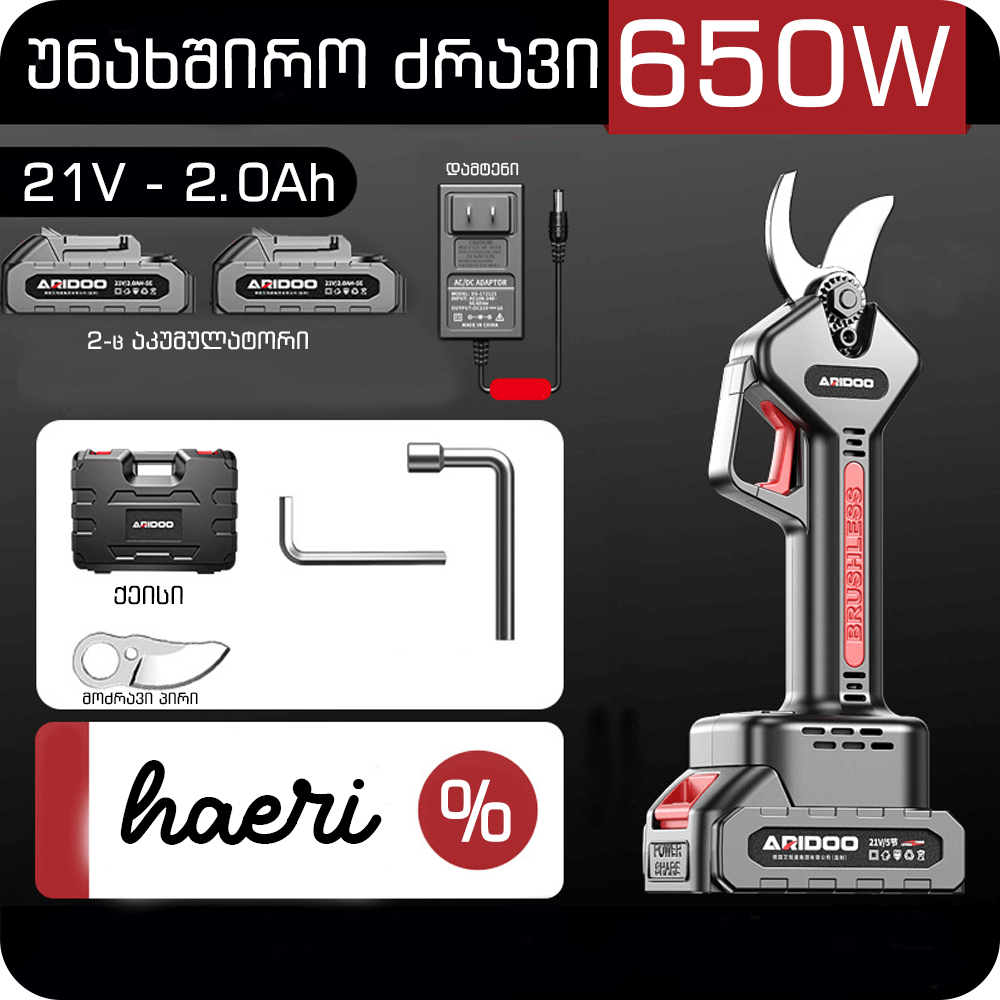 ARIDOO 21V 650W electric pruner with battery, charger, and accessories in one compact kit.